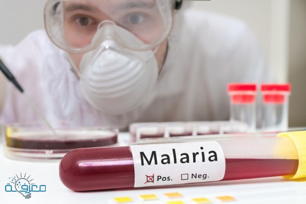 ما هو تحليل الملاريا