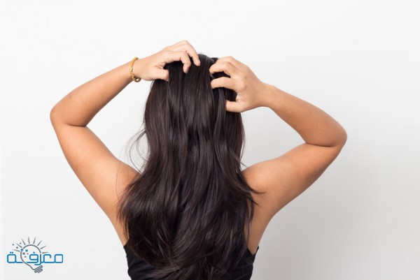 طرق إزالة القشرة لجميع أنواع الشعر