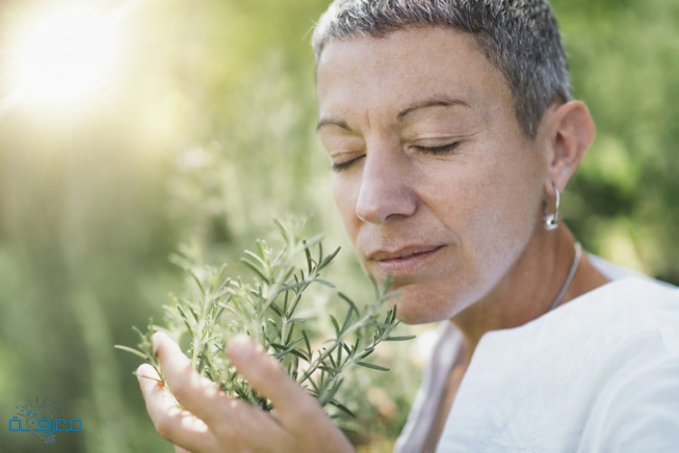 أفضل الأعشاب لعلاج مشاكل الجهاز التنفسي